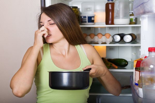 Tủ lạnh để lâu không dùng có hỏng không